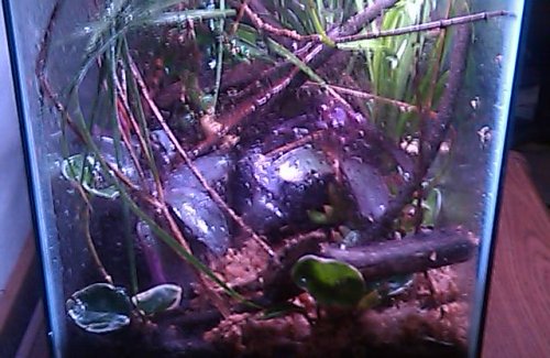 IMAG0215.jpg