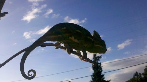 2011-06-22_19-25-25_387.jpg