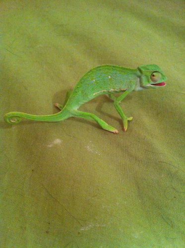 photo-6.jpg