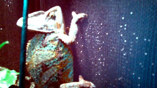 100_0081.jpg