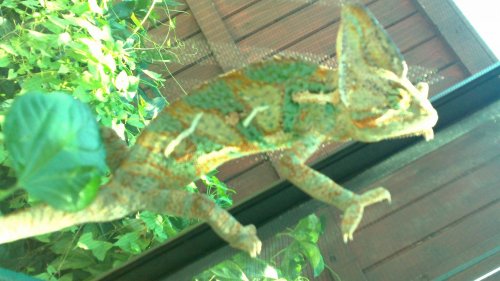 100_0093.jpg
