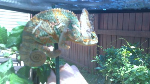 100_0101.jpg