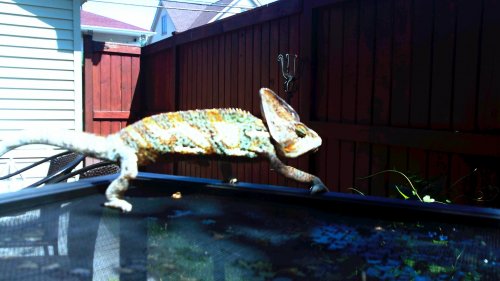 100_0102.jpg