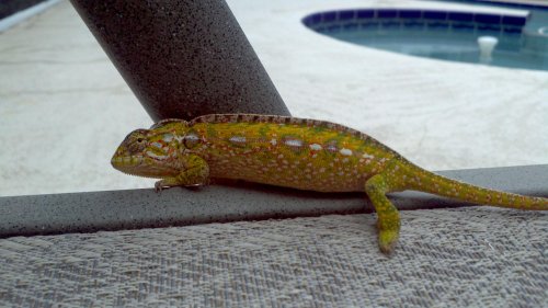 2011-07-13_11-59-35_179.jpg