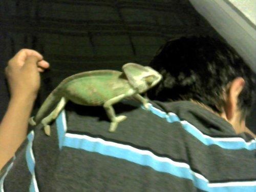 IMG_20110713_133244.jpg