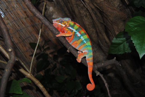DSC_0477.jpg