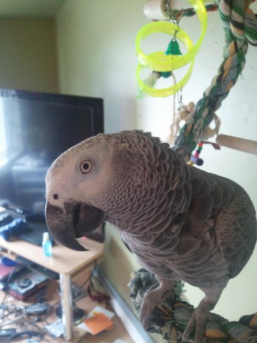 2011-06-25 11.43.47.jpg