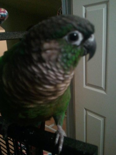 2011-06-21 23.30.24.jpg