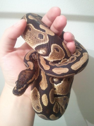 2011-07-14 23.59.53.jpg