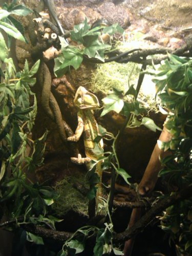 IMG125.jpg