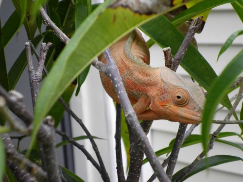 July30 2011 pics 015.jpg