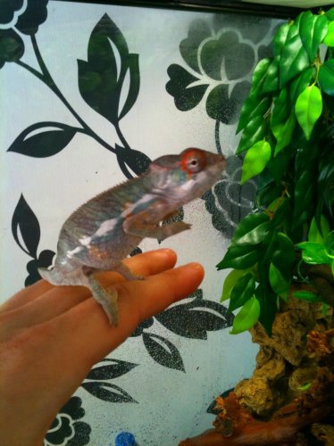 photo (4).jpg