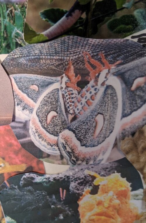 PXL_20210316_211747489 (2).jpg