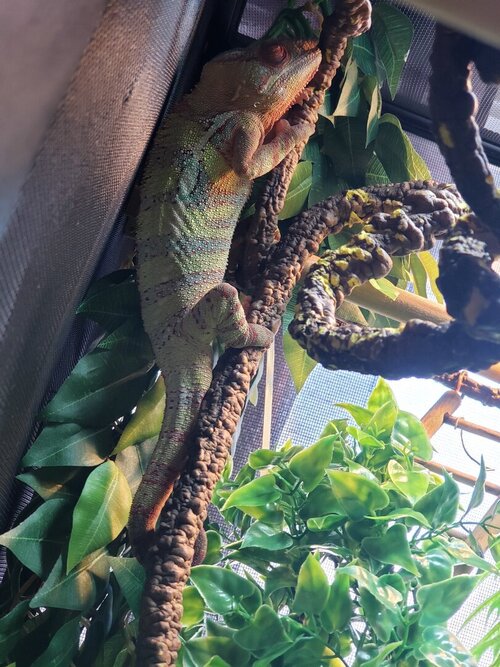 Julian 11am 3-21-21.jpg