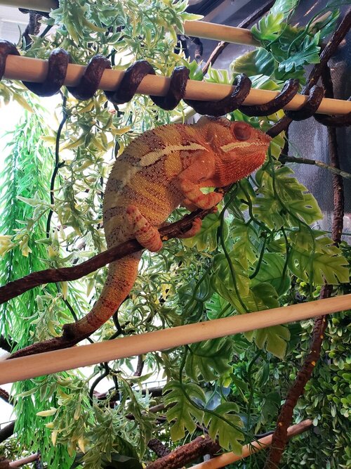 Julian Eating Colors.jpg