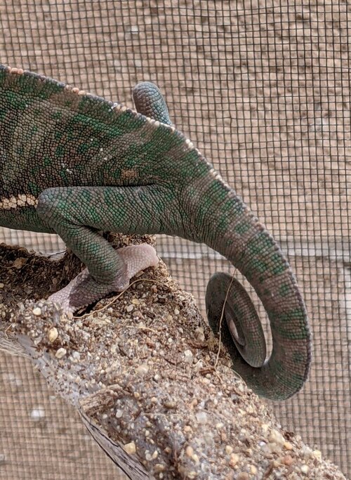 PXL_20210426_182720888 (2).jpg