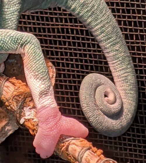 PXL_20210426_021019022 (2).jpg