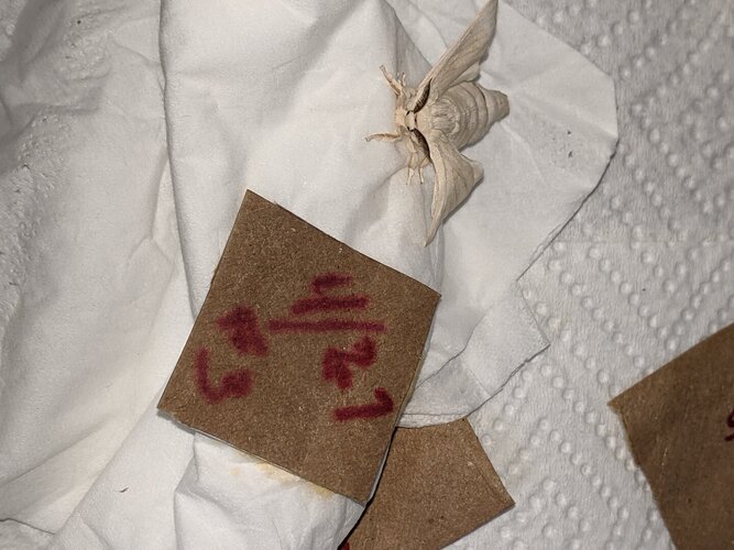 PXL_20210514_150152041 (1).jpg