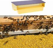 bee pollen collector.jpg