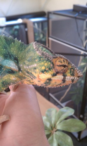 IMAG0187.jpg