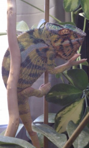 IMAG0195.jpg