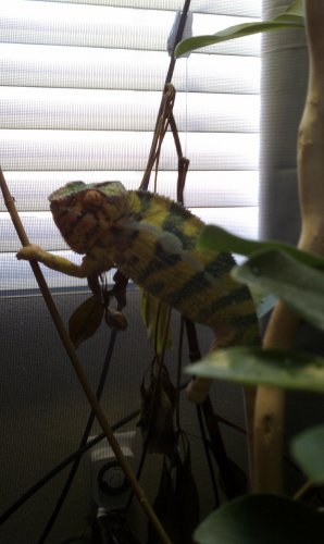 IMAG0191.jpg