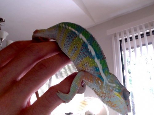 Photo on 2011-07-28 at 18.08 #4.jpg