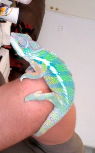 Photo on 2011-07-28 at 18.04.jpg