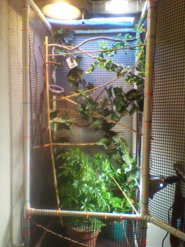 2011-07-28 16.22.36.jpg