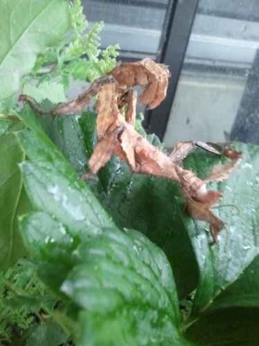 2011-07-31 19.33.15.jpg