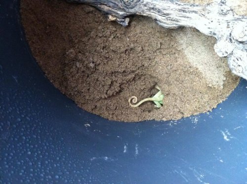 photo(1).jpg