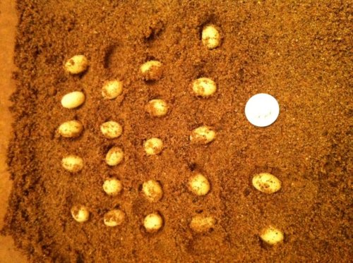 photo(2).jpg