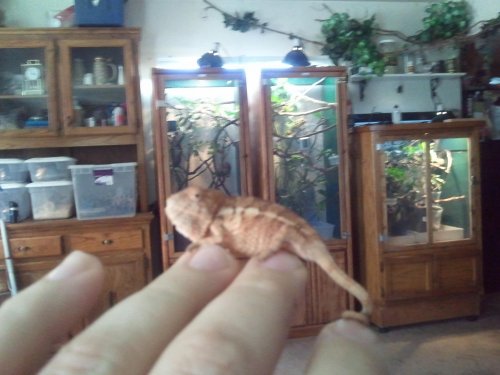 2011-08-04 12.48.42.jpg