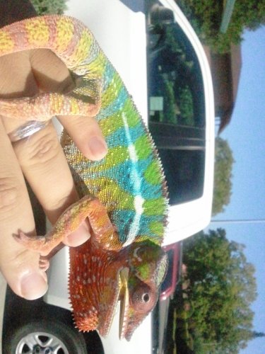 20110810164712.jpg