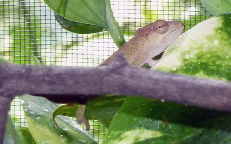 female1_081111.jpg