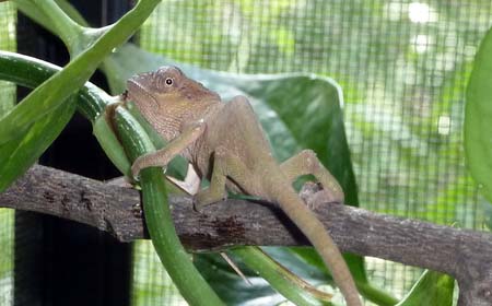 female2_081111.jpg