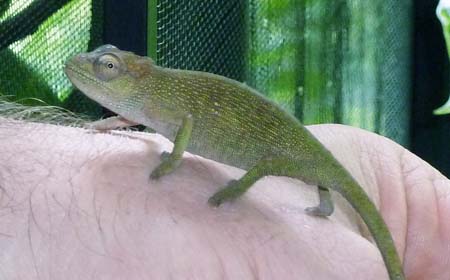 female3_081111.jpg