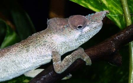 male_081111.jpg
