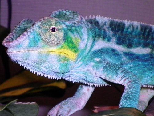 updated pics 006.jpg