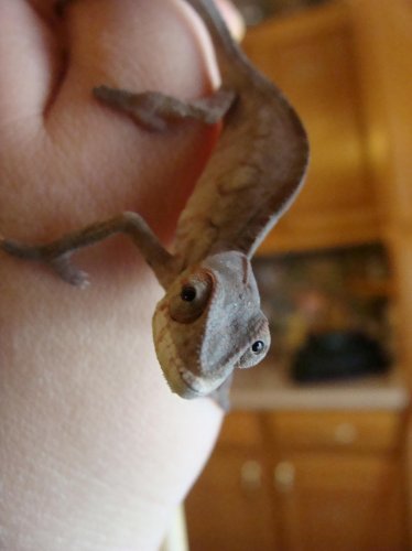 Sony Camera Chams and B DAy 127.jpg