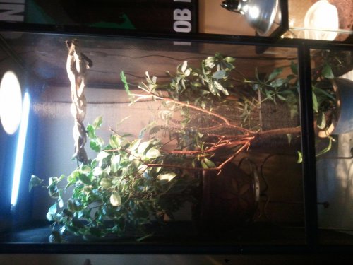 2011-08-13 17.46.25.jpg