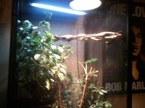 2011-08-13 20.09.21.jpg