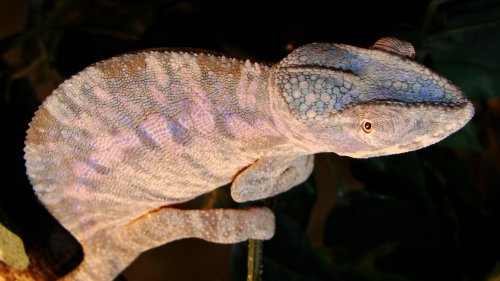 Sony camera pics 351.jpg