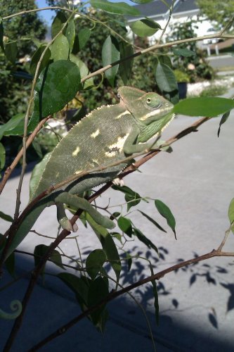 IMAG0211.jpg
