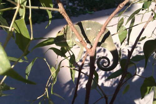 IMAG0213.jpg