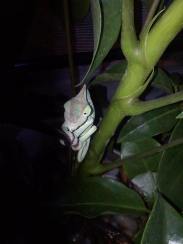 20110818182427.jpg