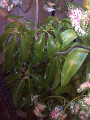 20110818184619.jpg