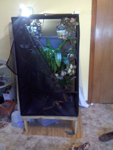 20110818184640.jpg