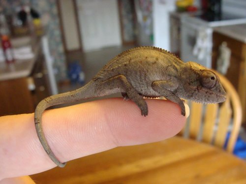 Sony Camera Chams and B DAy 030.jpg