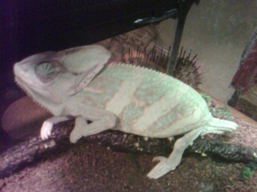 2011-08-21 21.43.08.jpg